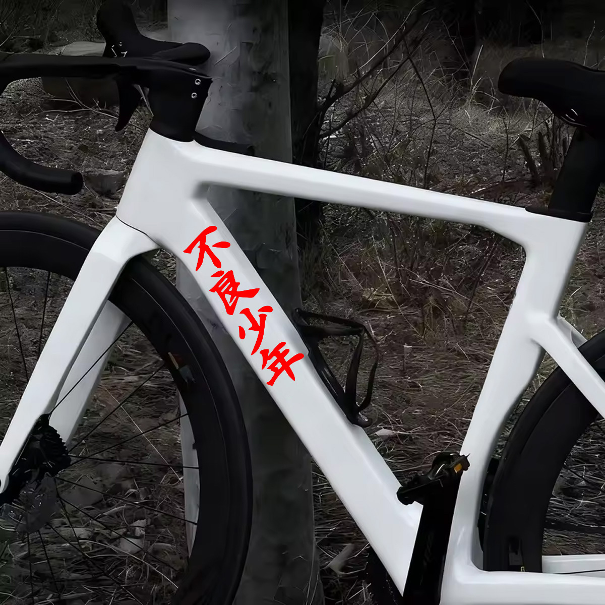 2Pcs Delinquent Teen Text Viny - Mountain Biking Holidays 评论和价格